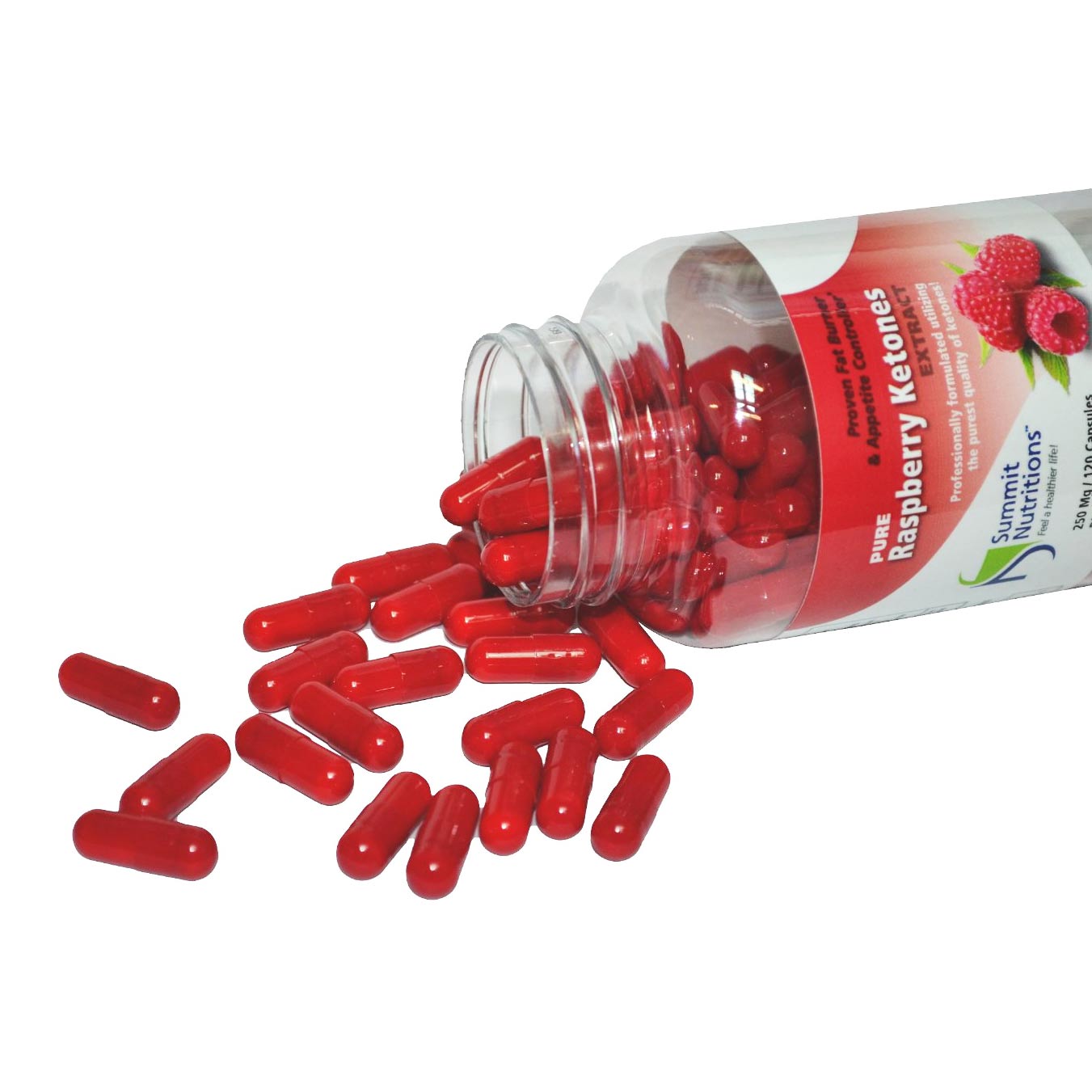 HNUT2084-01