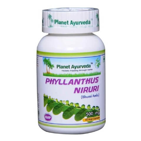 Planet Ayurveda Phyllanthus Niruri (500 mg), 60 veggie capsule(s) Planet Ayurveda Phyllanthus Niruri (500 mg), 60 veggie capsule(s)