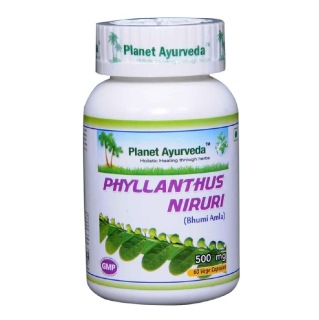Planet Ayurveda Phyllanthus Niruri (500 mg), 60 veggie capsule(s)
