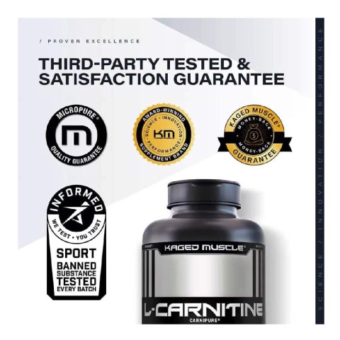 L-Carnitine at Best Price in India L-Carnitine at Best Price in India
