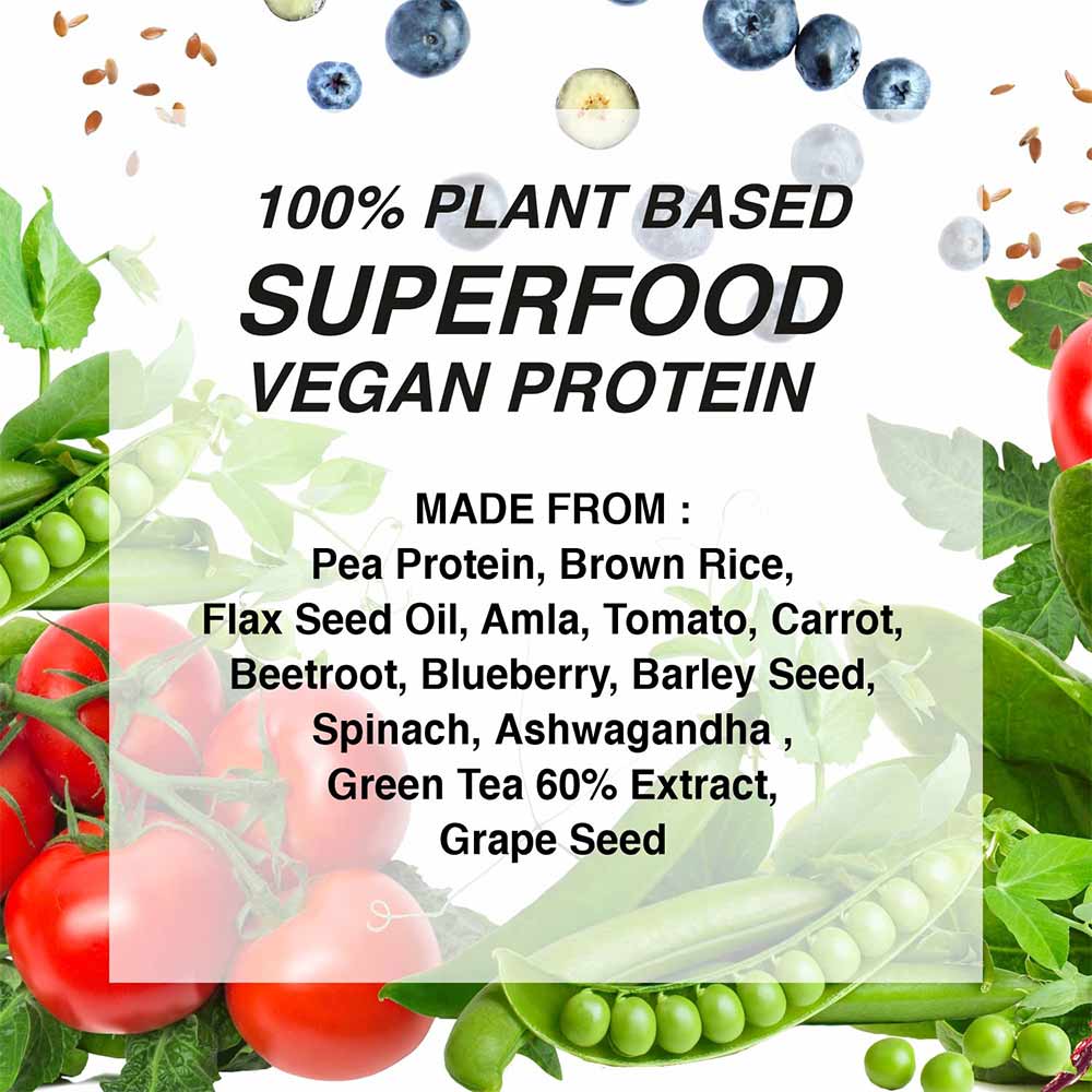 2 - Leopard Nutrition Vegan Protein,  0.99 lb  Vanilla 