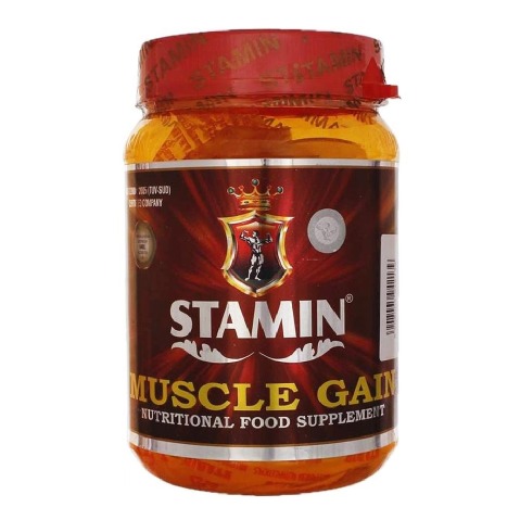 Stamin Nutrition Muscle Gain,  2.2 lb  Chocolate 