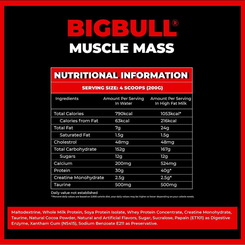 4 - Big Bull Muscle Mass,  6.6 lb  Chocolate Fudge 