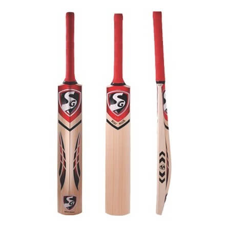 SG RSD Plus Kashmir Willow Cricket Bat