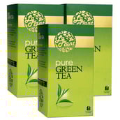 Laplant Pure Green Tea, 25 Piece(s)/Pack Unflavoured(Pack of 3)