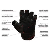 Omtex Gym Gloves (Pro),  Black  Large 