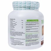 Lactonova 100% Whey Protein,  1 lb  Chocolate 