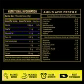 supplement - Big Muscles Premium Gold Whey,  2.2 lb  Belgian Chocolate 