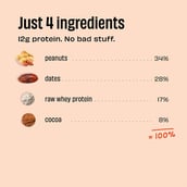 1 - The Whole Truth Mini Protein Bars, 8 bar(s) Peanut Cocoa