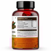 supplementinfo - Rooted Active Naturals Turmeric Curcumin with Reishi Mushroom & Black Pepper Extract,  90 capsules 