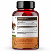 supplementinfo - Rooted Active Naturals Turkey Tail Mushroom, 120 capsules