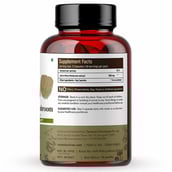 supplementinfo - Rooted Active Naturals Lion's Mane Mushroom,  120 capsules 