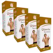 Jeevan Ras Urjamrita Navel Ointment,  15 ml 