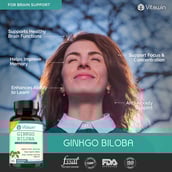 5 - VITAWIN Ginkgo Biloba for Brain Support (500 mg),  60 capsules 