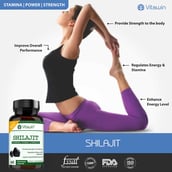 5 - VITAWIN Shilajit,  60 capsules 