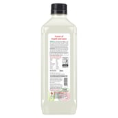 3 - Alo Frut Litchi Aloevera Juice,  0.300 L  Litchi (Pack of 5) 