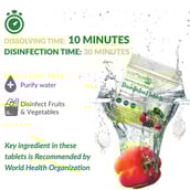 7 - BodyGuard Fruits and Vegetables Disinfectant Tablets,  Fragrance Free  50 tablet(s)  Kills 99.9% of Germs 