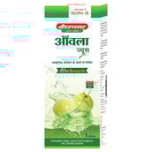 2 - Baidyanath Amla Juice,  Natural  1 L 