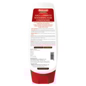 2 - Baidyanath Amla & Hibiscus Nourishing Hair Conditioner,  200 ml  for Dry & Damaged Hair 