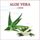 3 - Aadar Jeevani Powder,  100 g 