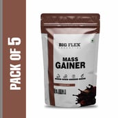 2 - Big Flex Essential Mass Gainer,  2.2 lb  Chocolate Pack of 5 