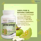 3 - VLCC Wellscience Garcinia Cambogia,  60 veggie capsule(s) 