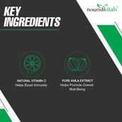 4 - NourishVitals Amla Vitamin C,  60 veggie capsule(s)  Unflavoured (Pack of 3) 