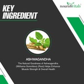 4 - NourishVitals Ashwagandha - Pack of 2,  60 veggie capsule(s) 