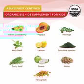 4 - Wellbeing Nutrition Melts into Natural B12 + D3, 30 Strip(s) Exotic Mango (Marvel Iron Man)