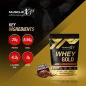 6 - MuscleXP Whey Gold Protein with Digestive Enzymes,  2.2 lb  Double Chocolate 