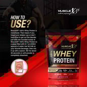 8 - MuscleXP 100% Whey Protein with Digestive Enzyme,  2.2 lb  Double Chocolate 