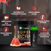 2 - Fitspire Super Gold BCAA,  0.55 lb  25 Servings  Watermelon with Protein Shaker 
