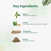 6 - Dr. Vaidya's Pain Relief Oil (Pack of 3),  100 ml 