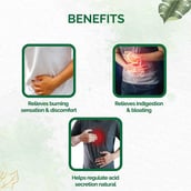 3 - Dr. Vaidya's Acidity Relief (Pack of 3),  30 capsules 