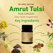 3 - Amrut Tulsi Plus (Pack of 3), 10 capsules
