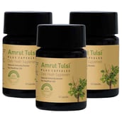 Amrut Tulsi Plus