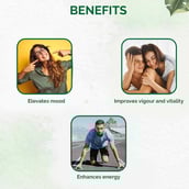 3 - Dr. Vaidya's Mood Boost,  30 capsules 