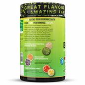 2 - Olena EVOLVE Performance Plant Protein,  2.2 lb  Rich Chocolate 