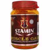 Stamin Nutrition Muscle Gain,  2.2 lb  Chocolate 