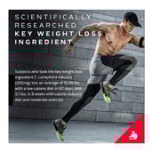 3 - MuscleTech Performance Series NitroTech Ripped, 2 lb Chocolate Fudge Brownie