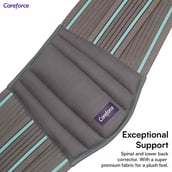 3 - Boldfit Lumbar Support Belt,  Grey  Small 