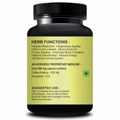 2 - Riffway Green Coffee, 30 capsules