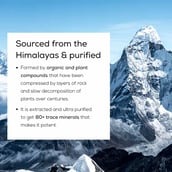 5 - TrueBasics Shilajit with 80+ Trace Minerals,  10 g