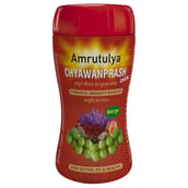 1 - Amrutulya Chyawanprash Special,  500 g 