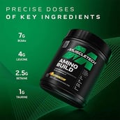 7 - MuscleTech Amino Build, 1.3 lb 40 Servings Strawberry Watermelon