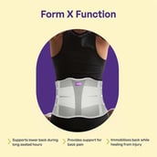2 - Careforce Contoured Lumbar Support Belt,  Grey  Large 