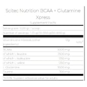 3 - Scitec Nutrition BCAA + Glutamine Xpress, 0.66 lb 25 Servings Watermelon