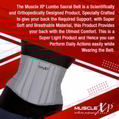 5 - MuscleXP Lumbo Sacral Belt,  Grey  Small 