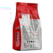 2 - Muscle Garage DNA Anabolic Mass Gainer, 10 lb Choco Caramel