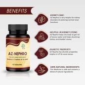 3 - Ayurveda Yogashram Remedies AZ-Nephro,  90 tablet(s) 
